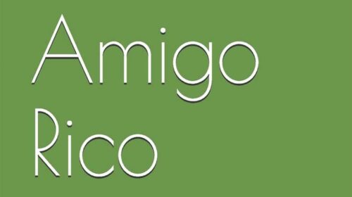 Resenha do livro Amigo Rico, de Fabrício S. Peruzzo.